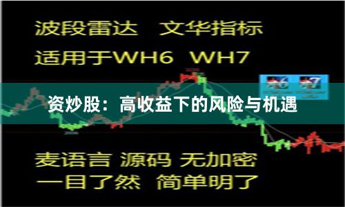 资炒股：高收益下的风险与机遇