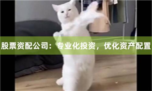 股票资配公司：专业化投资，优化资产配置
